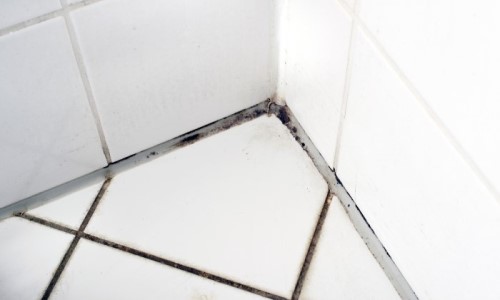 Zilver Antipoison Aangenaam kennis te maken Schimmel badkamer of douche verwijderen: oorzaken & gevolgen