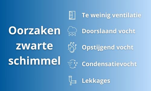 oorzaken zwarte schimmel